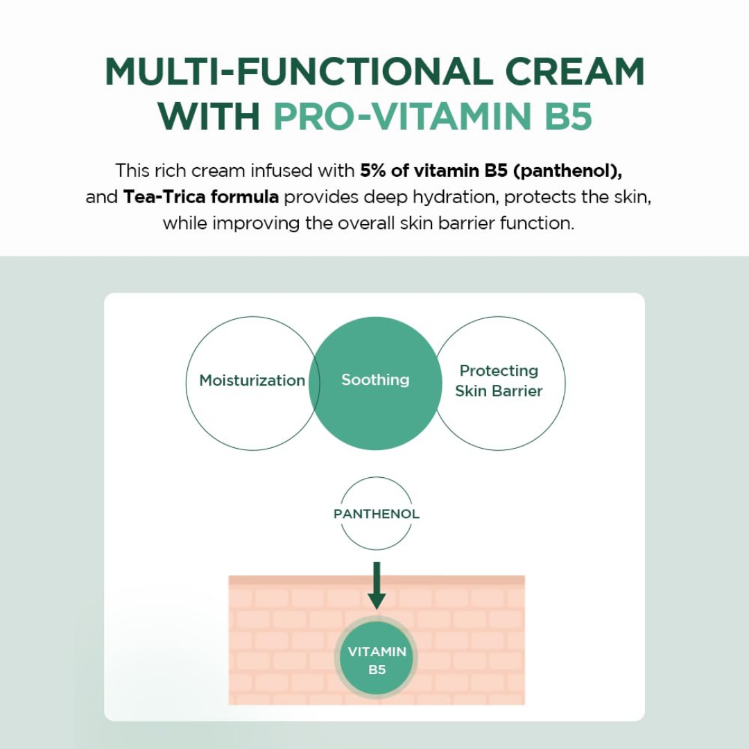 Madagascar Centella Tea-Trica B5 Cream