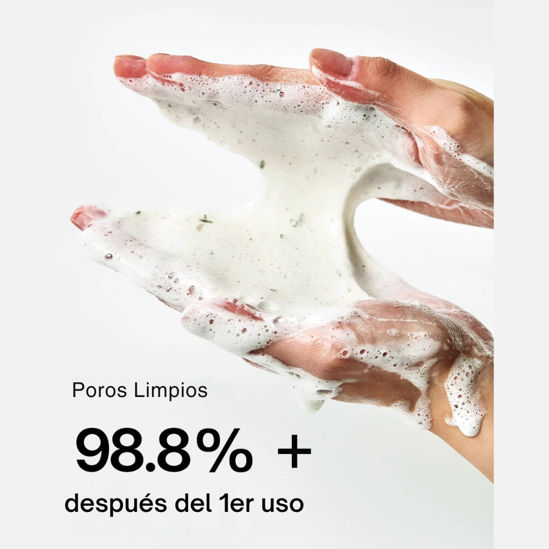 Heartleaf Quercetinol Poredeep Cleansing Foam
