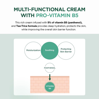 Madagascar Centella Tea-Trica B5 Cream