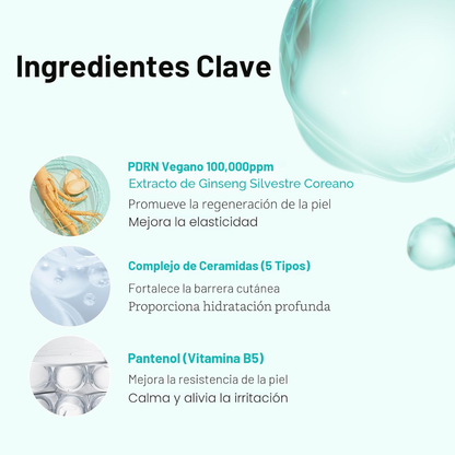 PDRN Essence 100